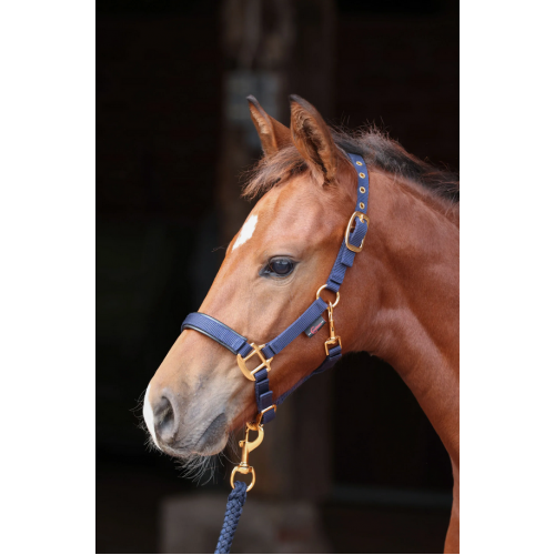 Covalliero TopLine Halter