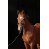 Covalliero TopLine Halter