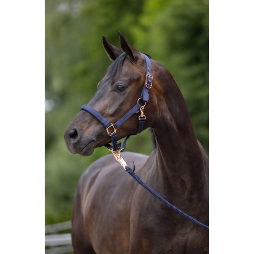 Covalliero Classy Halter