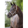 Covalliero Classy Halter