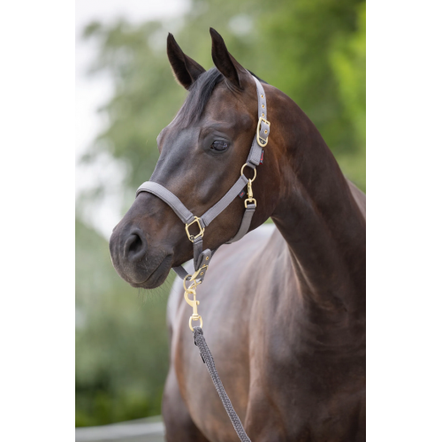 Covalliero Classy Halter