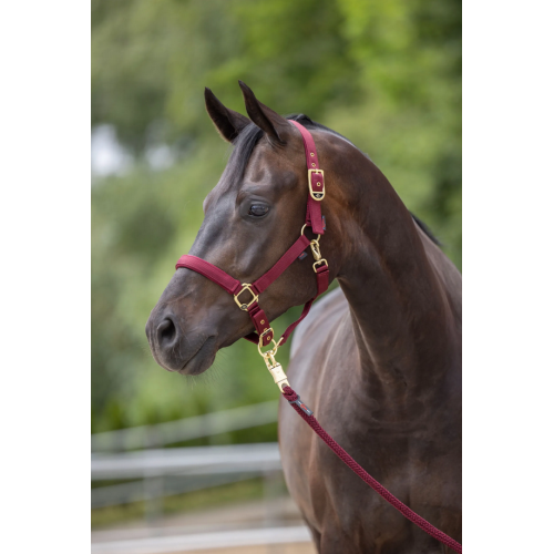 Covalliero Classy Halter
