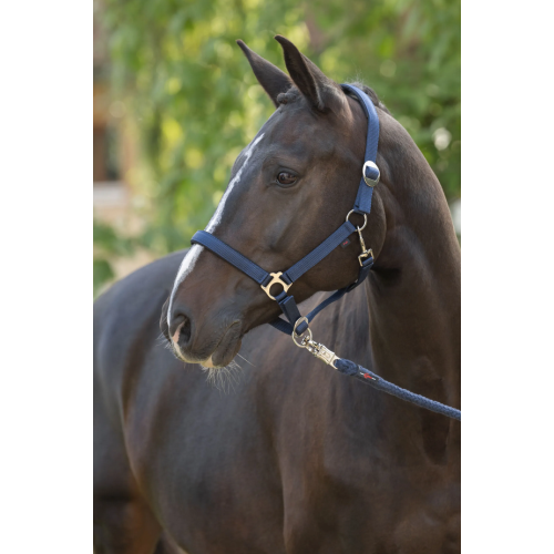 Covalliero Halter Doria