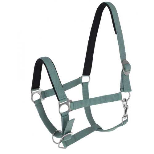 Covalliero Halter Doria