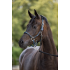 Covalliero Cordano Halter