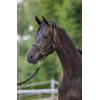 Covalliero Cordano Halter