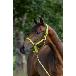Covalliero Mustang недоуздок