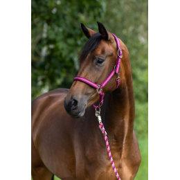 Covalliero Mustang недоуздок