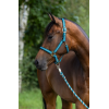 Covalliero Mustang Halter