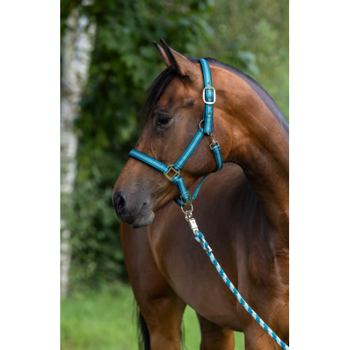 Covalliero Mustang Halter