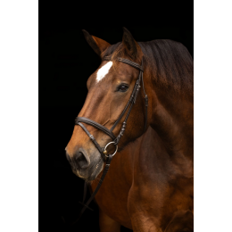 Covalliero уздечка с трензелем для Draft Horses