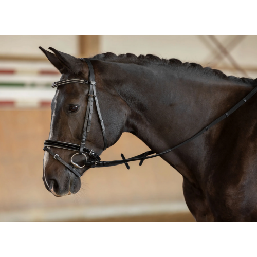 Covalliero Web Reins