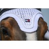 Tommy Hilfiger Earnet Liberty