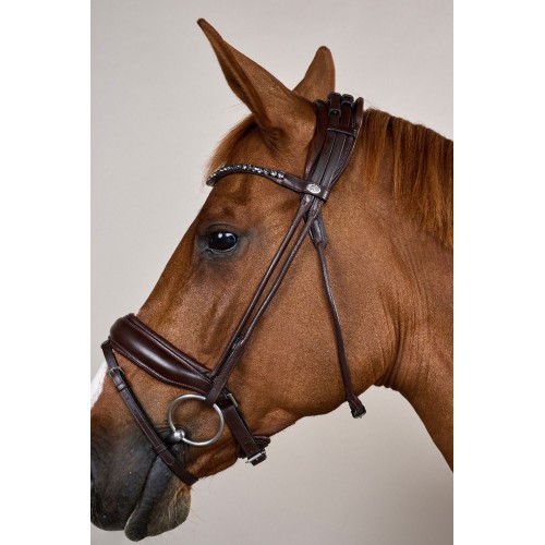 Dyon Round-Stitched Bridle with Wide Noseband of Soft Leather