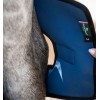 Horseware Ionic Hock Boots