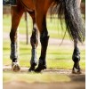 Horseware Classic Fetlock Boots