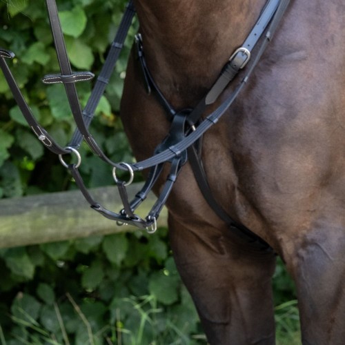 Busse Breastplate Imola II