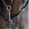 Busse Breastplate Imola II