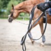 Busse Lunge Line Soft BT