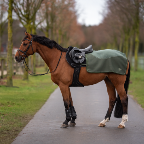 Busse training blanket 3D Air FL