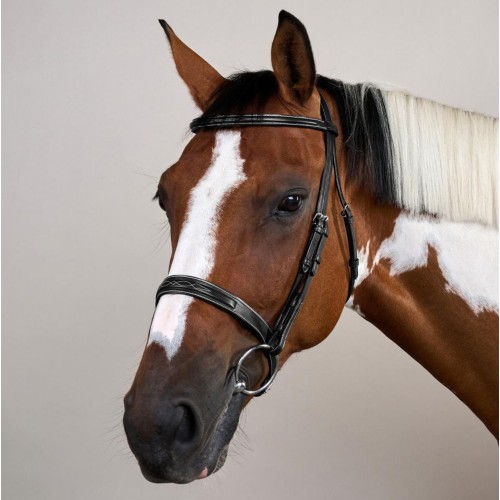 Dyon Hunter Bridle with French Noseband US Collection