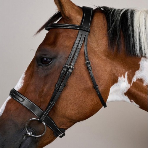 Dyon Hunter Bridle with French Noseband US Collection