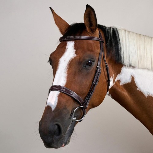 Dyon Hunter Bridle with French Noseband US Collection
