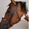 Dyon Hunter Bridle with French Noseband US Collection
