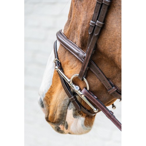 Velari Single-Jointed Full Cheek Snaffle Bit Stainless Steel 16 mm