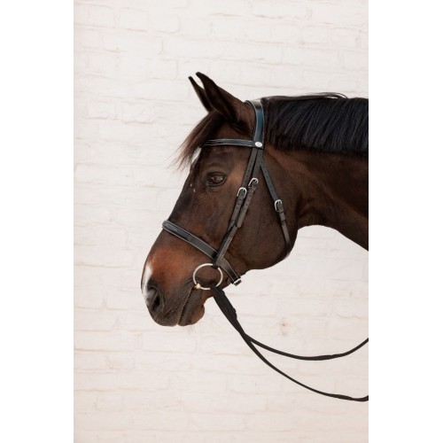 Dyon Cavesson Hunter Bridle Working Collection