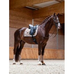 Equestrian Stockholm выездковый вальтрап Sand