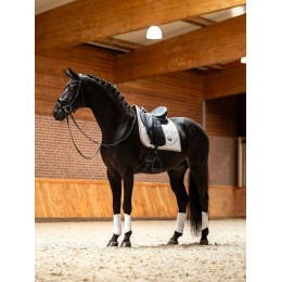 Equestrian Stockholm выездковый вальтрап Modern белый Sand