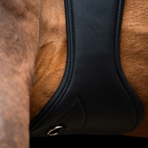 Imperial Riding Springgirth IRH anatomical with roller buckles