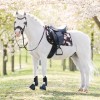 Imperial Riding FW25 Saddle Pad Rebel Dressage