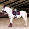 Imperial Riding FW25 Saddle Pad Rebel Dressage